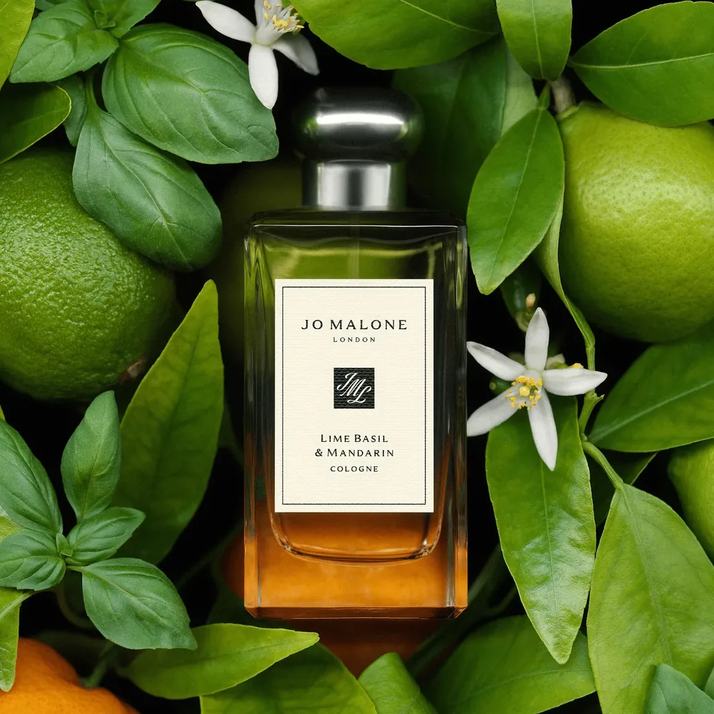 Agrumes et basilic autour d'un flacon Jo Malone London