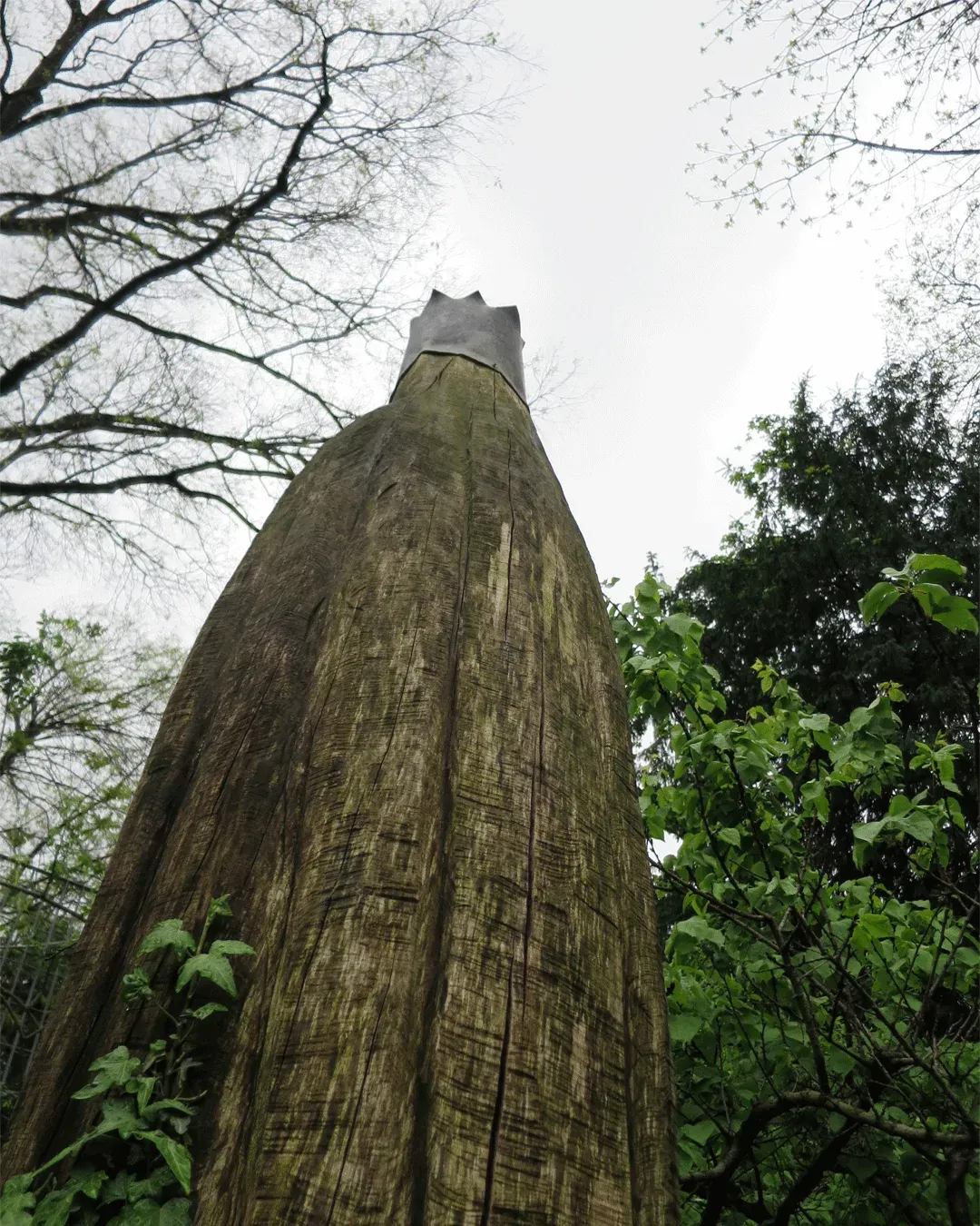 Totem de bois et végétation évoquant l'univers Orto Parisi