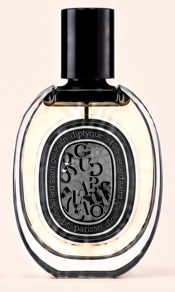 Flacon Oud Palao de Diptyque